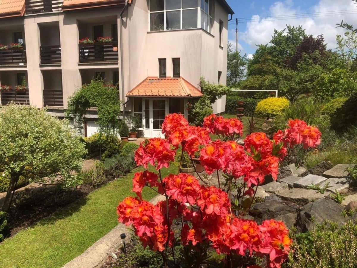 Penzion Swist Ceska Ves Exterior photo